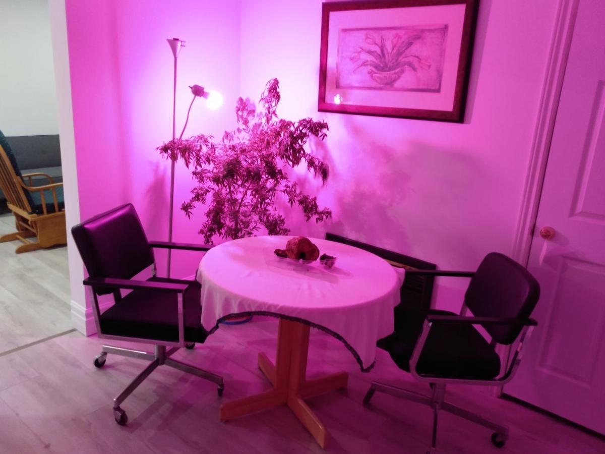 Healing Touch Holistic Living Space Амхърст Екстериор снимка